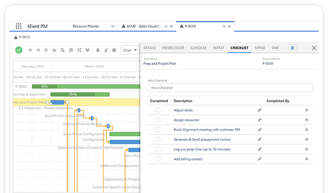 Time Constraint in Project Management