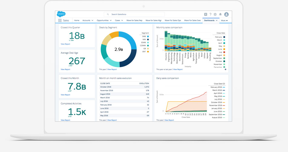 Salesforce - CRM Dashboard Professional services kpis