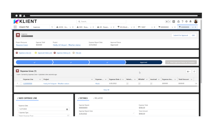 Salesforce PSA - Expense Report