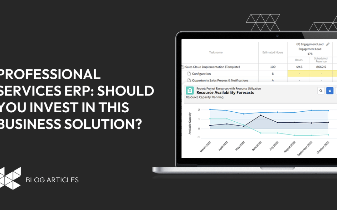 Professional Services ERP: Should you invest in this business solution?