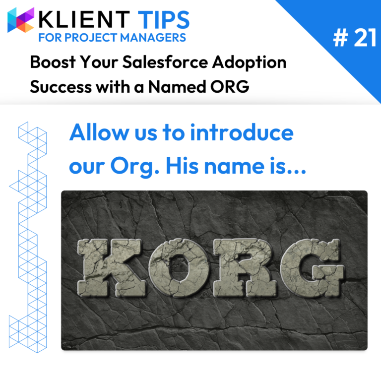 Boost Your Salesforce Adoption Success with a Named ORG