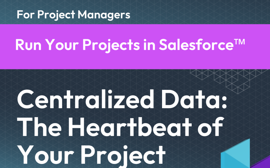 Centralized Data: The Heartbeat of Your Project Decisions