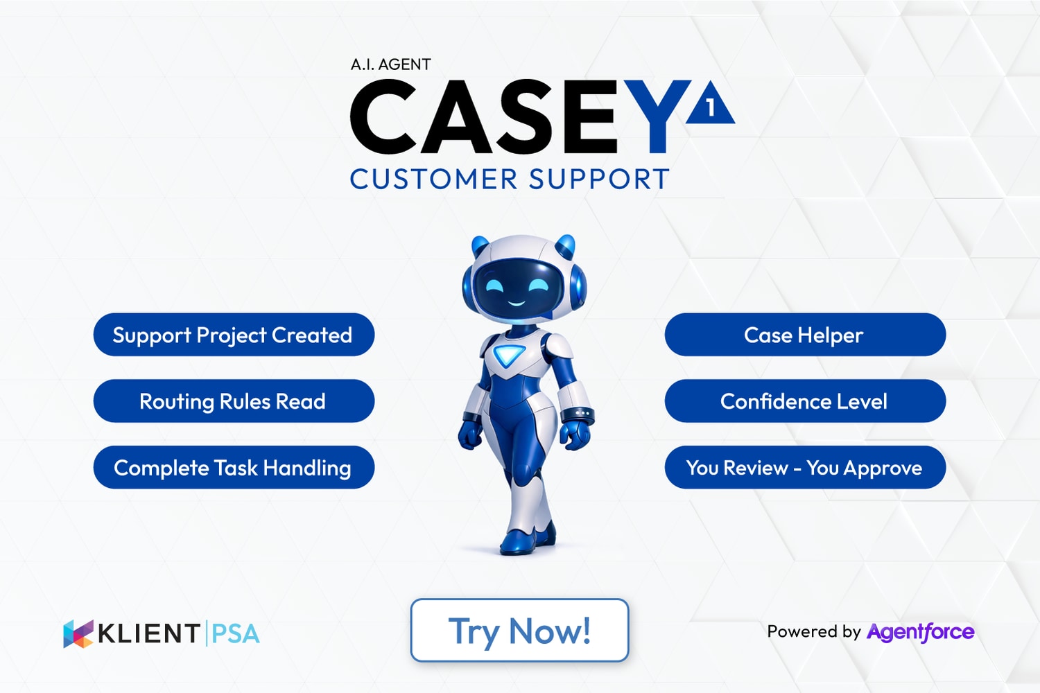 CASEY1 — Support Agent