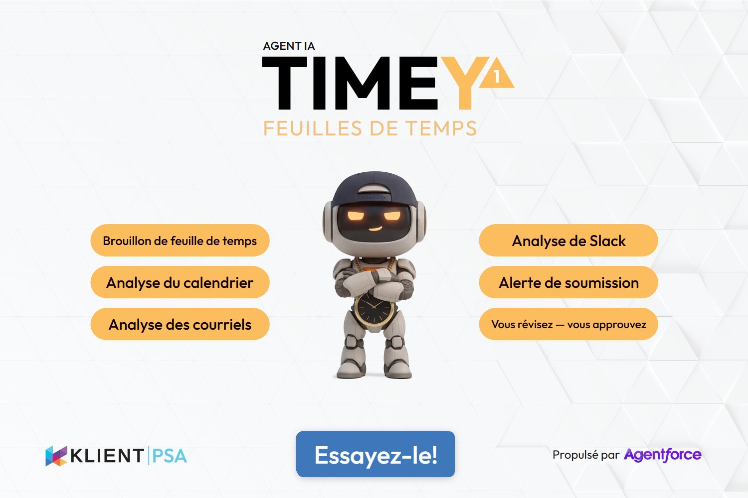 Aperçu de la feuille de temps TIMEY1
